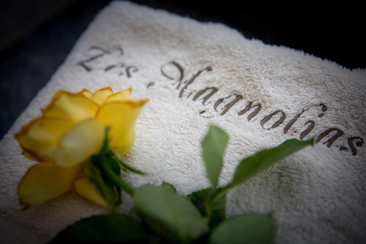 Les Magnolias Holiday Homes Lalinde Zewnętrze zdjęcie